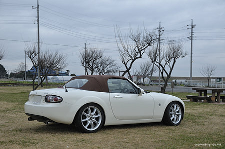 _DSC1230tj