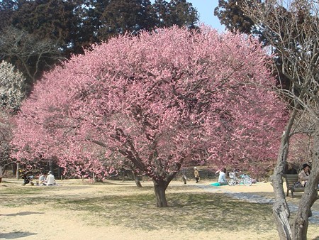 DSC02210