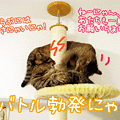 090513-【猫アニメ】バトル勃発にゃ！