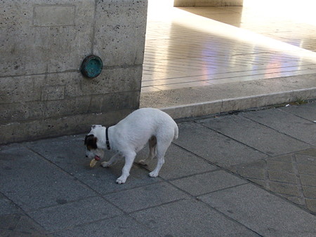 P1630067