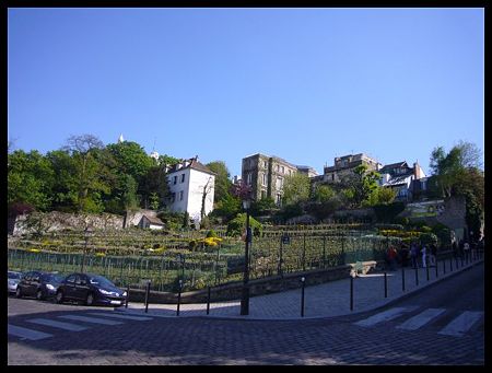 P1980492