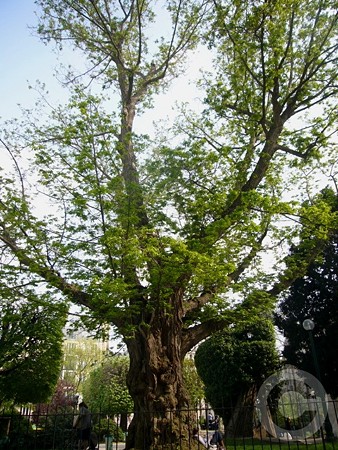 P1530252