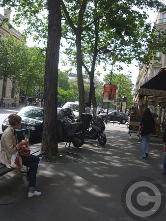 P1560954
