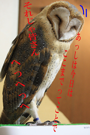 mame H21.1.30