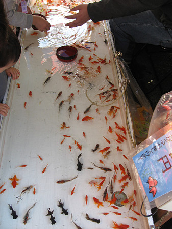 金魚すくい