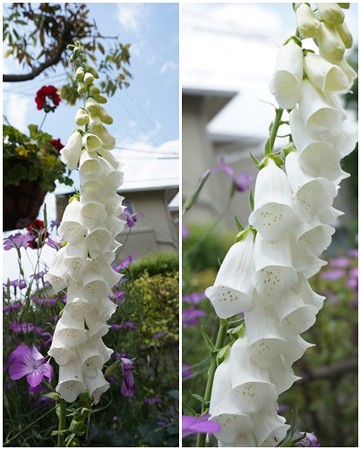 2014052705