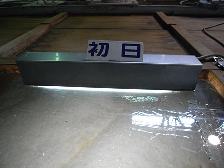 発酵初日