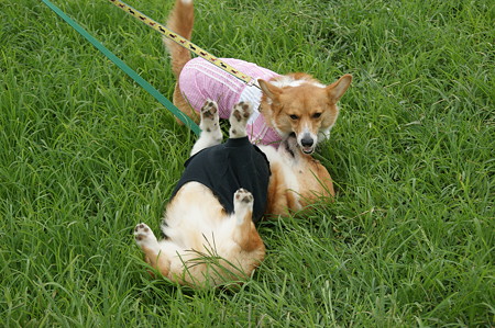 DSC02309