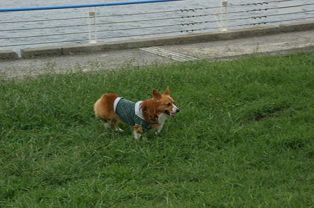 DSC02338