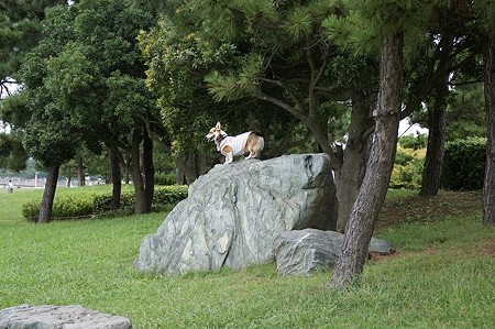 DSC02501