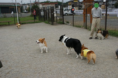 DSC02716