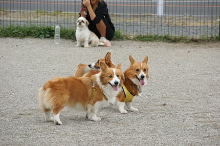 DSC02760