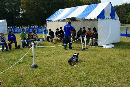 DSC03235