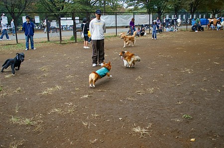DSC03418