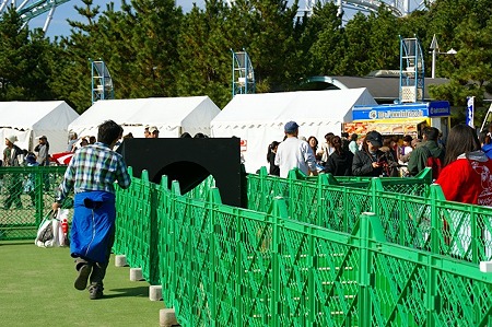 DSC04371