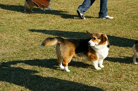 DSC04444