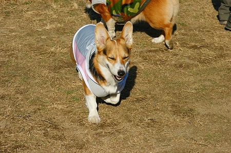 DSC05602