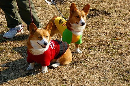 DSC06015