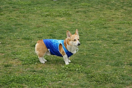 DSC07427