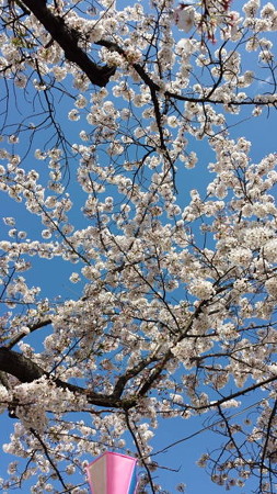20140405_140545