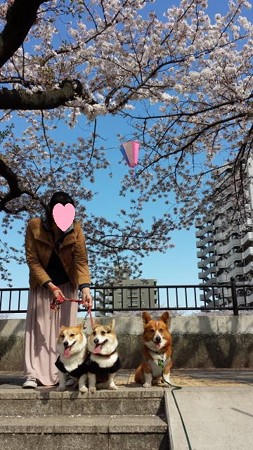 20140405_140705