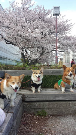 20140405_144604