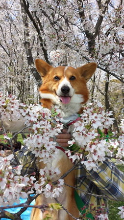 20140406_113741