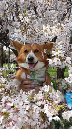 20140406_113800