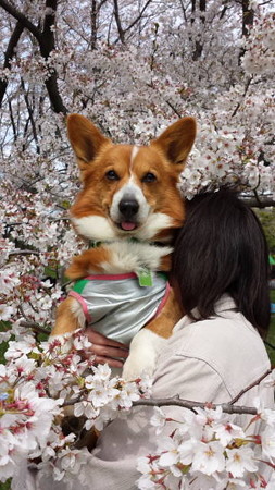 20140406_124047
