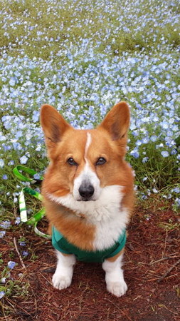 20140506_110759