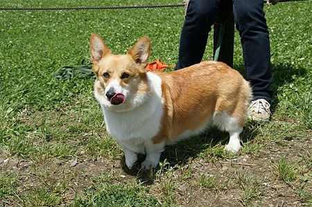 DSC07717