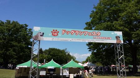 20140518_105338