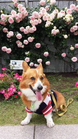 20140525_112700