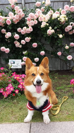 20140525_112751