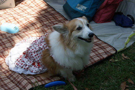 DSC03450