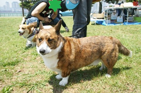 DSC03515