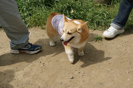 DSC07868