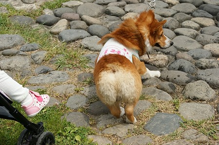 DSC07974