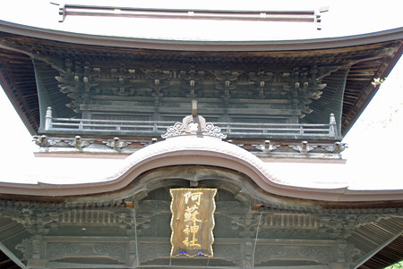 IMGP6801