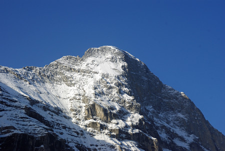 IMGP7871