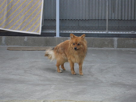 DSCN4156