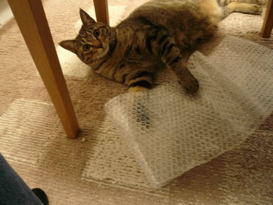 プチプチ