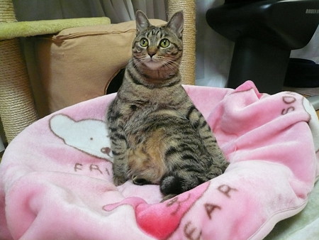 座り方が変