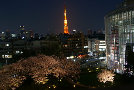 六本木・東京タワーと桜