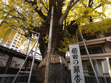 PB300806