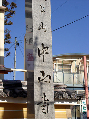 DSC07096