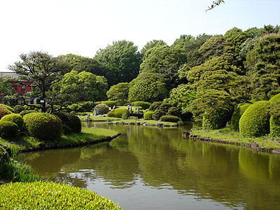 DSC07353
