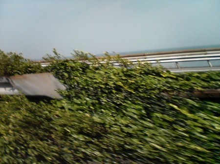 20070527_1,300kmひとり走り_1440_由比あたり?
