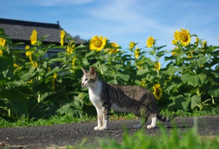 IMGP5758_0716