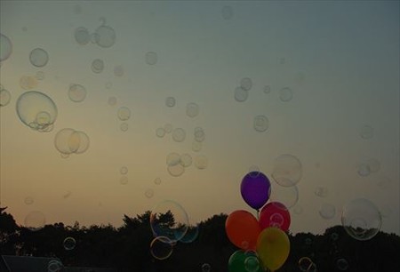 IMGP8259_0316